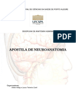 Neuroapostila - UFCSPA