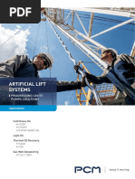 Artificial Lift Systems: Progressing Cavity Pumps Solutions