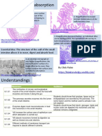 Biology - Digestion and Absorption Revision Notes PDF