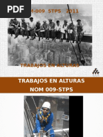 Curso NOM-009 STPS TRABAJOS EN ALTURAS