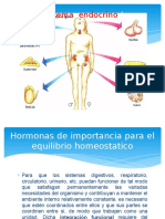 Hormonas de Importancia para El Equilibrio Homeostatico