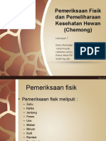 Presentasi Pemeriksaan Fisik Dan Pemeliharaan Kesehatan Kucing