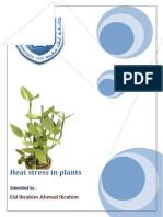 Heat Stress in Plants