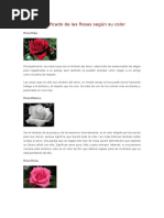 Significado de Las Rosas Según Su Color