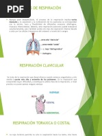 Tipos de Respiración