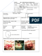 Vaginoplasty Ny. Eni Ratnawati Kor Kang Harmi