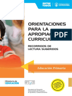 Orientaciones para La Apropiacion Curricular