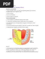 Técnicas Mandibulares (Anestesia Local)