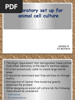 Laboratory Set Up For Animal Cell Culture