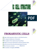 Prokaryotic Cell-1