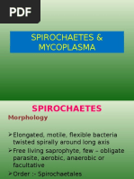 #Spirochaetes & Mycoplasma#