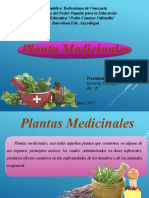 Plantas Medicinales