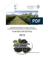 Plan Rector S.P. Zarzamora 2015