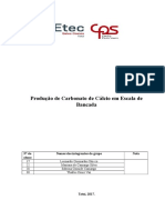 Relatório de Produção Carbonato de Cálcio