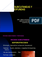 Micosis Subcutaneas y Profundas Dra Xenia Velasquez 2013