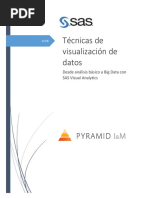 SAS-Tecnicas de Visualización de Datos