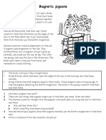 Magnets (Pigeons Compasses) Worksheet