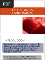 Enfermedades Exantemticas 1227971664230158 9