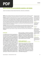 Bases Neurales Del Procesamiento Numerico y Del Calculo PDF