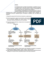 Actividad 1 - Homeostasis