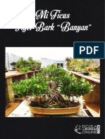 Mi Ficus Tiger Bark Ebook