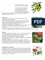 10 Plantas Medicinales