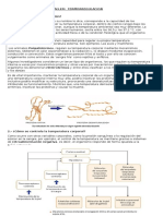 Taller Termorregulacion