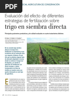 Evaluación Del Efecto de Diferentes Estrategias de Fertilización Sobre Trigo en Siembra Directa PDF