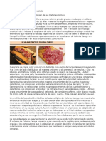 Microbiologia Salame Chorizo