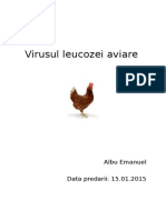 Virusul Leucozei Aviare