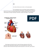 Anatomia Inimii