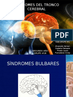 Sindromesdeltroncocerebral 140824202519 Phpapp01