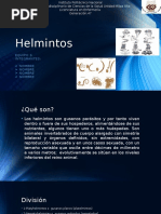 Helmintos