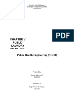 Public Laundry PD No. 856,: Republic of The Philippines Partido State University Camarines Sur