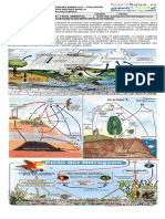 7° Guía 6. Ciclos Biogeoquímicos Biología y Química 2017