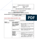 Modelo de Informe Dpa (Dpa Ñuro)