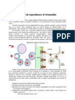 Reproducerea Virusurilor