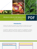 Metabolitos Secundarios Maritsa Pérez Hernández