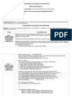 Structura Proiect - Realizare Prototip