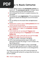 The 12 Steps Muscle Contraction