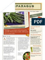 Asparagus - Printable Fact Sheet and Guide + Recipe