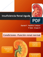 Insuficiencia Renal Aguda