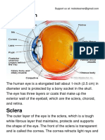 Anatomy of The Eye PDF