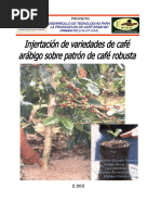 Injertacion en Cafe