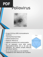 Polio Virus