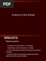 Anatomy of The Breast