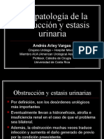 2 Fisiopatologc3ada de La Obstruccic3b3n y Estasis Urinaria