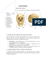 Cuestionario Cerebro