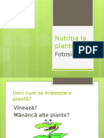 Nutritia La Plante