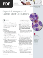 Canine Mast Cell Tumors